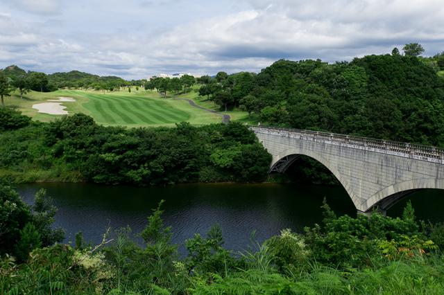 画像: 5Hのティーショットは池越え
