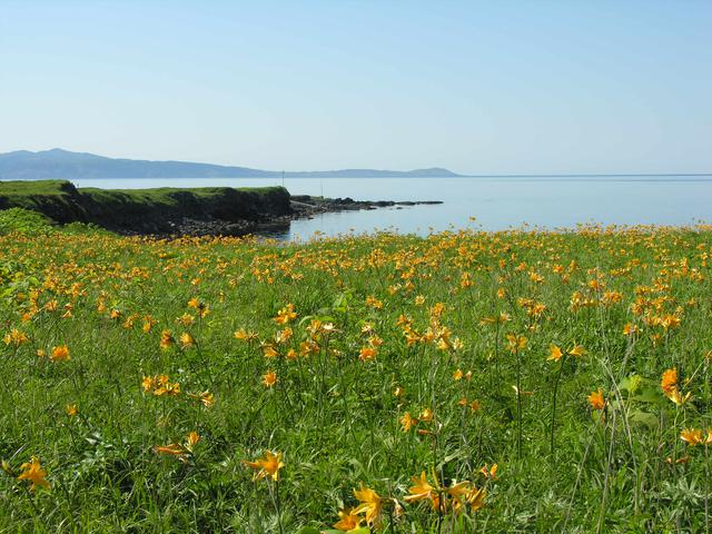 画像: 富士野園地