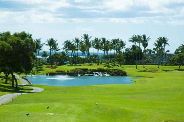 画像1: ワイケレカントリークラブ