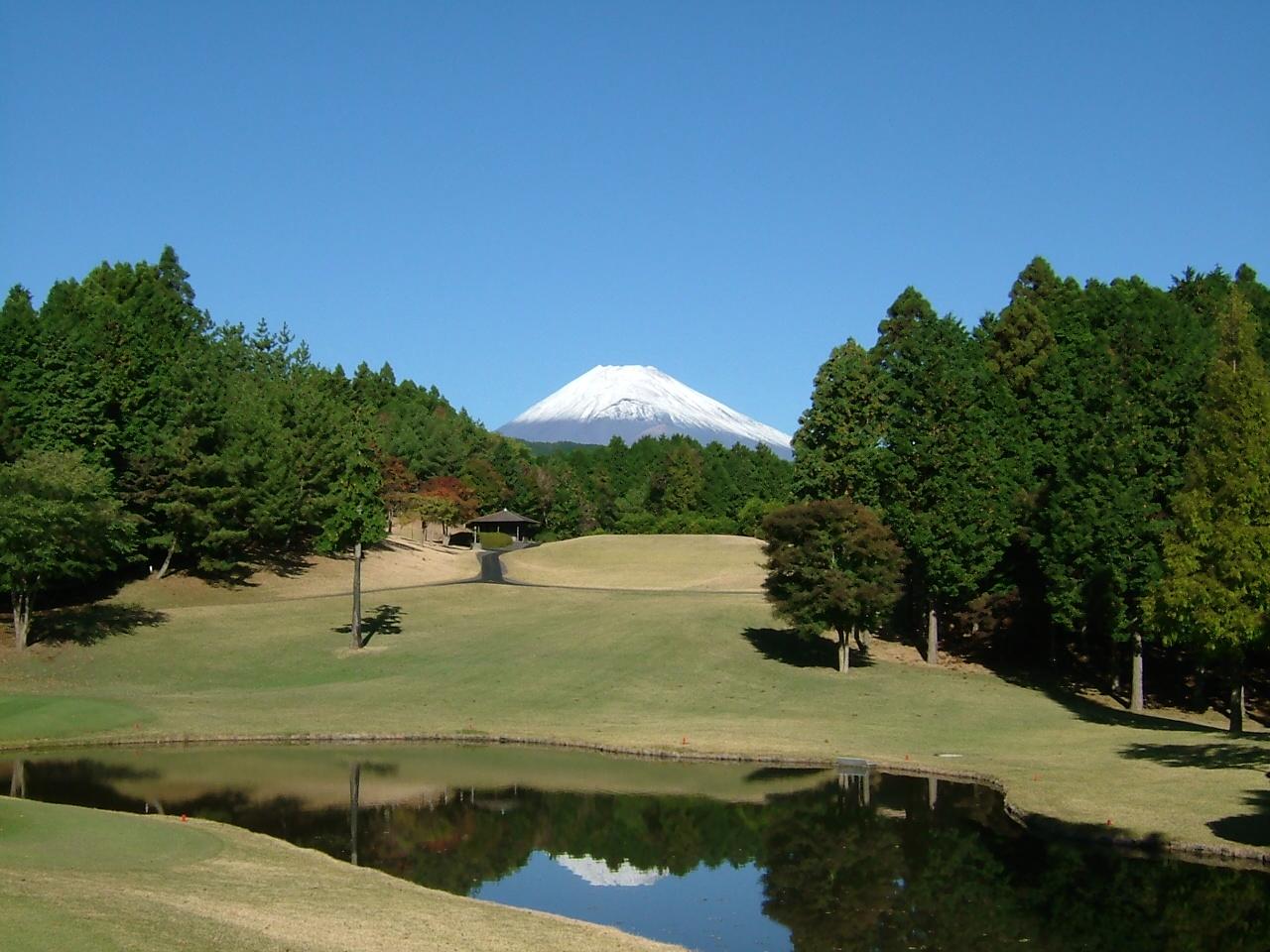 画像: ファイブハンドレッドクラブ　16番