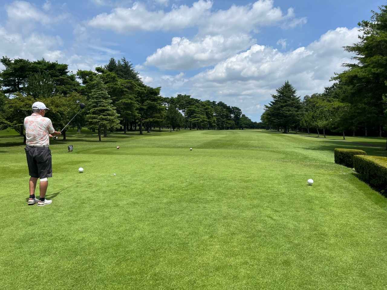 画像: 高低差のないフラットな林間コースで、歩いても楽々回れる。四季折々の花に囲まれており、季節ごとの風景も楽しめる
