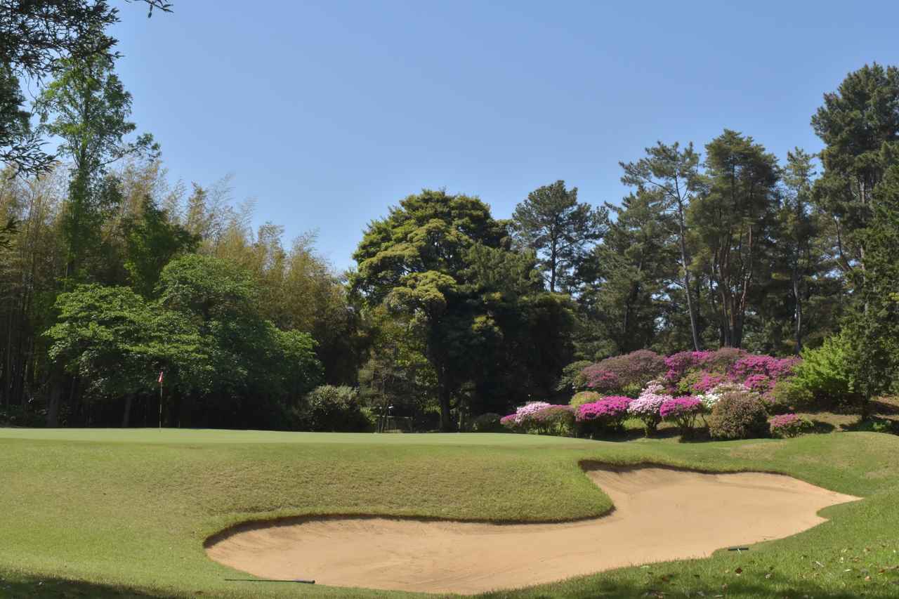 画像3: 若松ゴルフ倶楽部