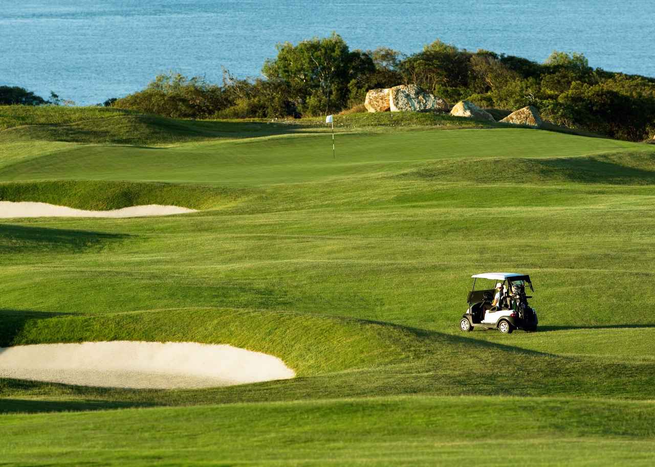 画像4: ハミルトン島ゴルフクラブ