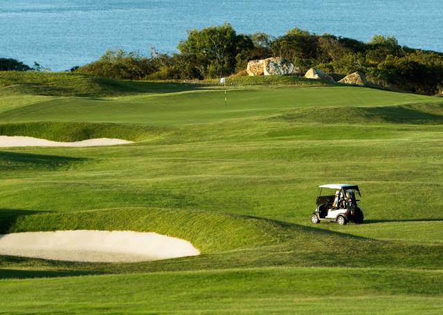 画像4: ハミルトン島ゴルフクラブ