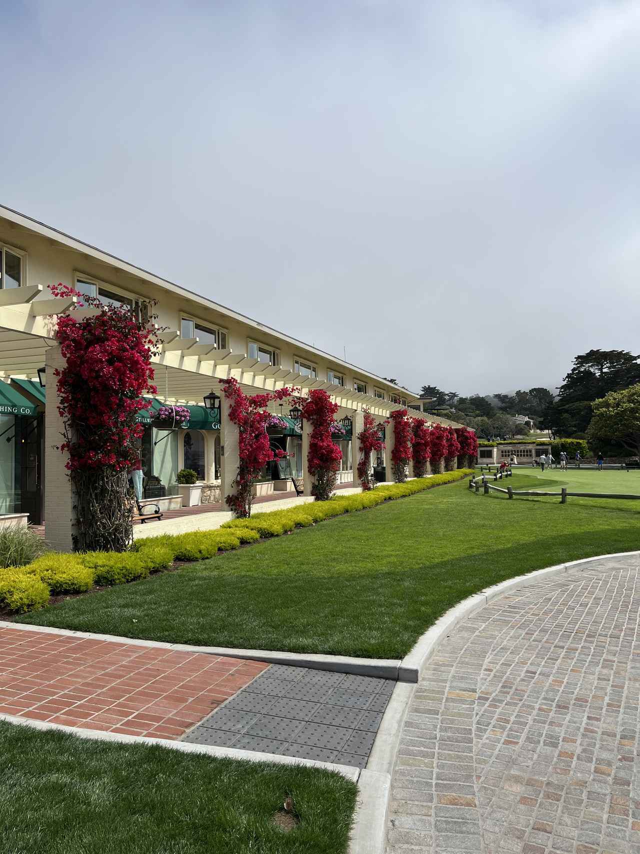 画像5: <添乗レポート> 世界中のゴルファーが憧れるペブルビーチへ