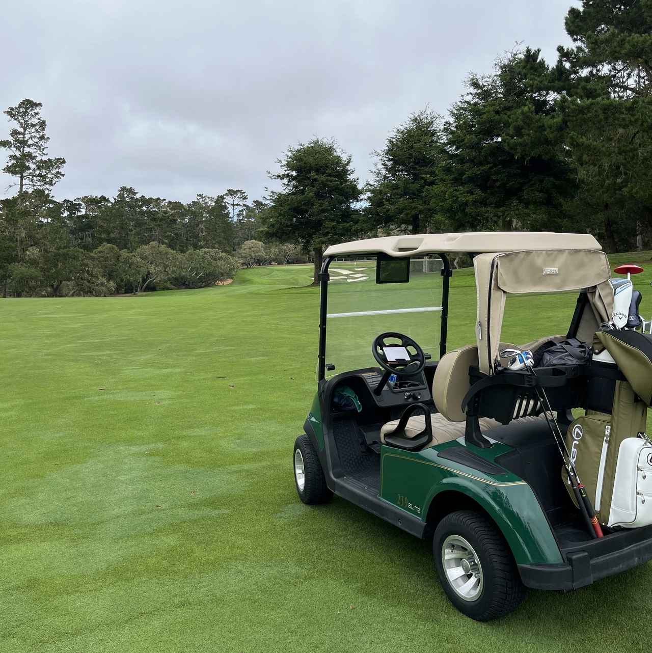 画像8: <添乗レポート> 世界中のゴルファーが憧れるペブルビーチへ