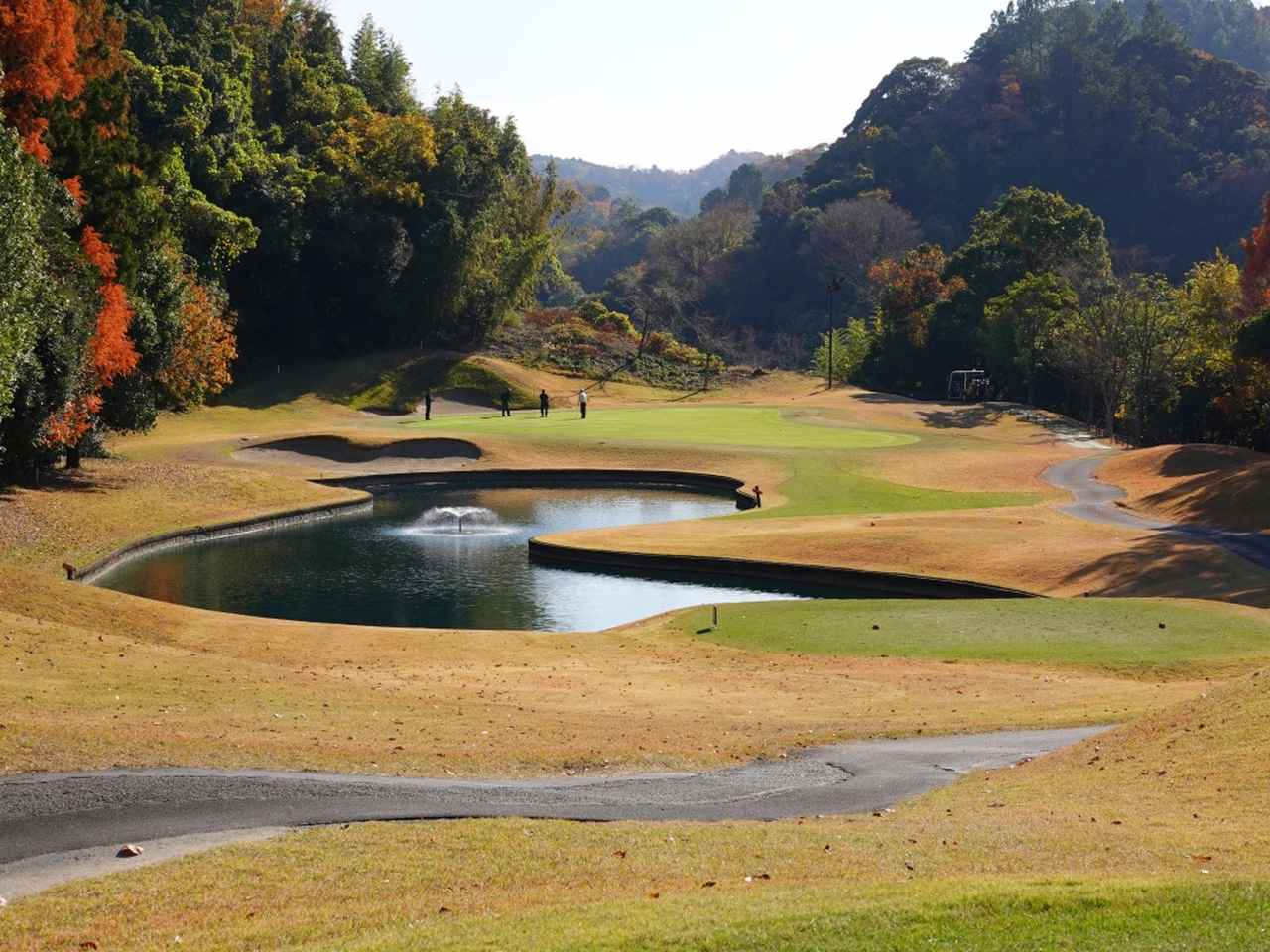 画像: 15番ホールは池越えでやや打ち下ろしのPar3。池を避けて花道から狙うのが定石?