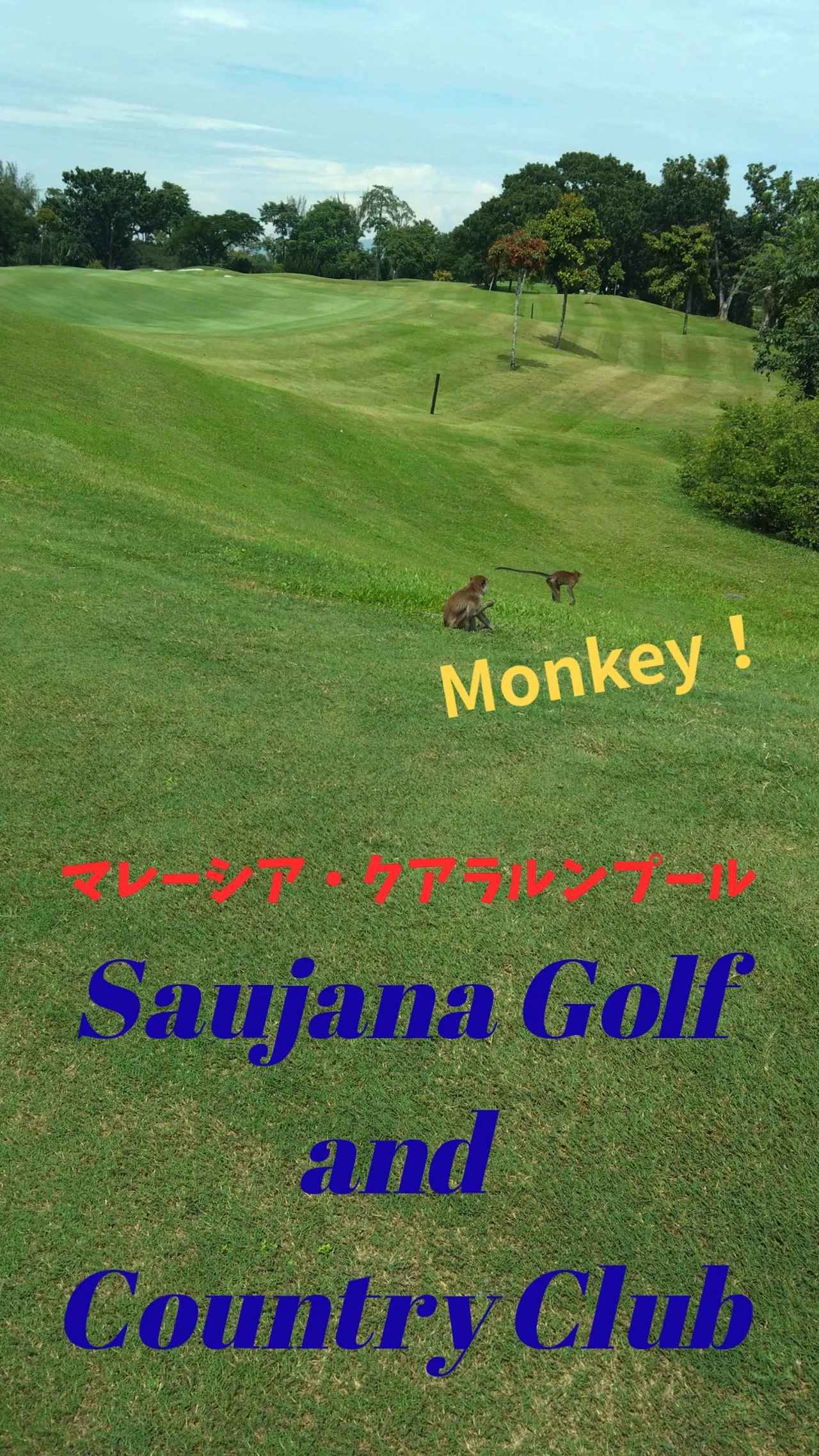 画像: マレーシアのゴルフツアー、絶賛発売中! 熱帯雨林の豊かな自然の中で、爽快ゴルフしませんか?