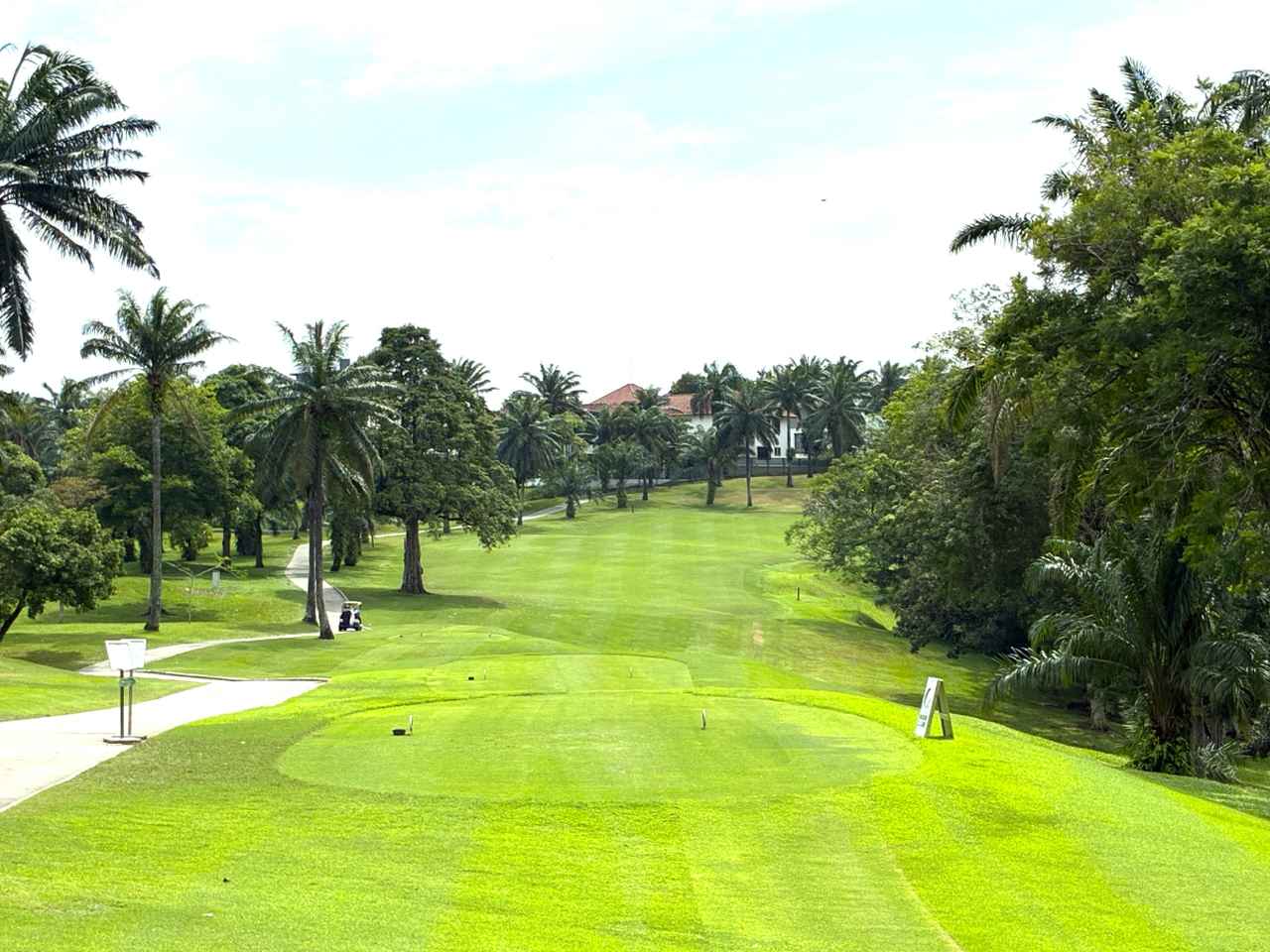 画像: 背の高いヤシの木に囲まれた、パームコース1番パー4