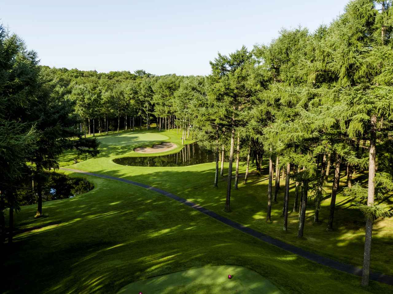 画像2: 【北海道3日間3プレー】横田英治プロ「レッスン・オブ・ザ・イヤー」受賞記念ツアー プロ直伝の技を雄大な練習場で磨く北海道集中レッスン3日間（添乗員同行／一人予約可能）