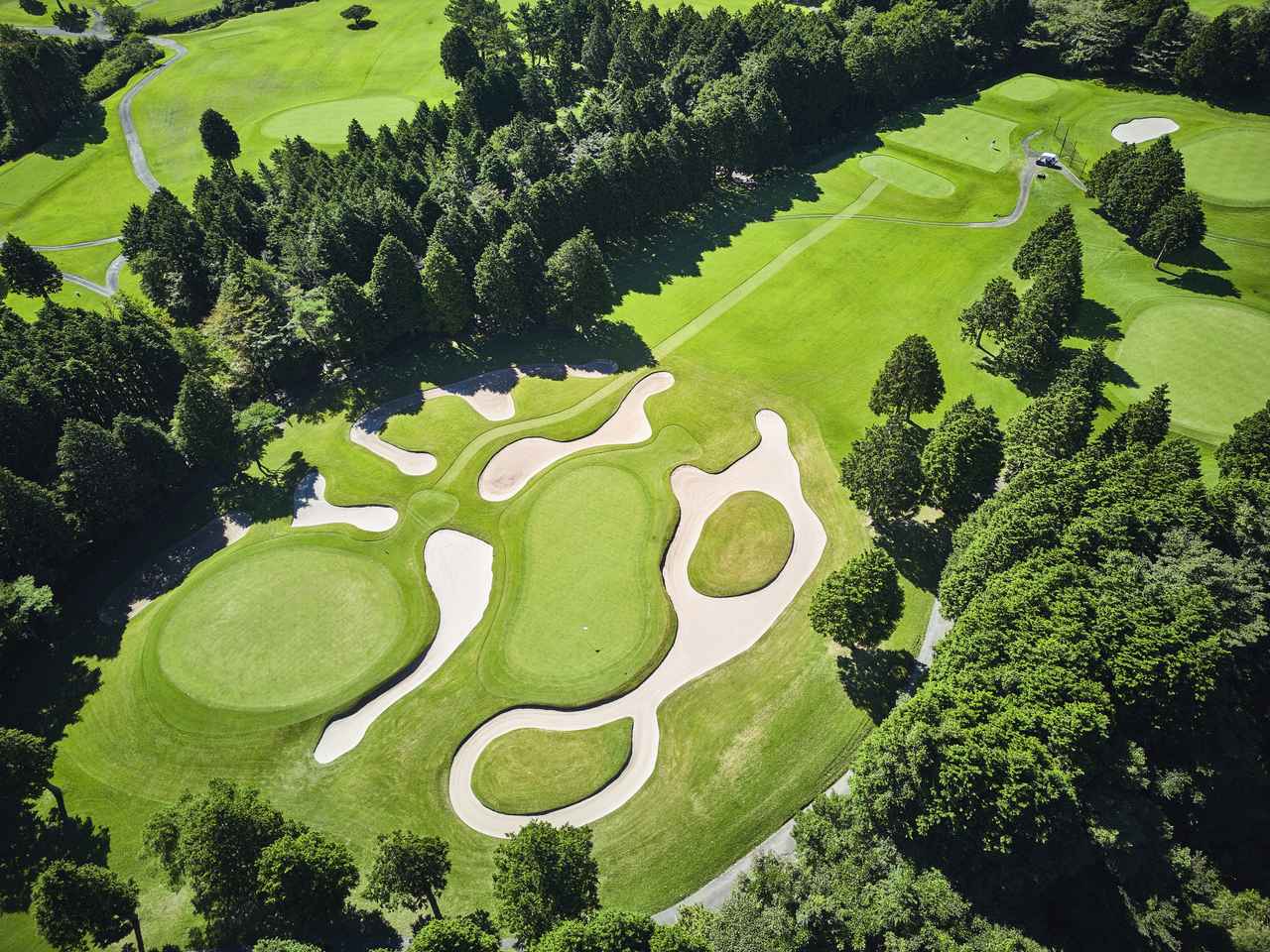 画像4: 大箱根カントリークラブ