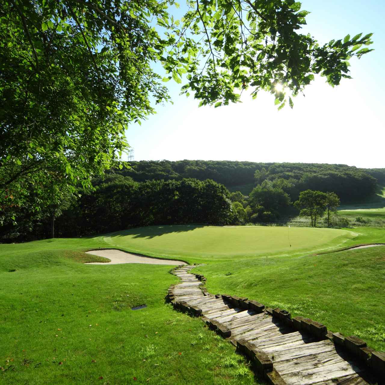 画像3: 北海道ブルックスカントリークラブ