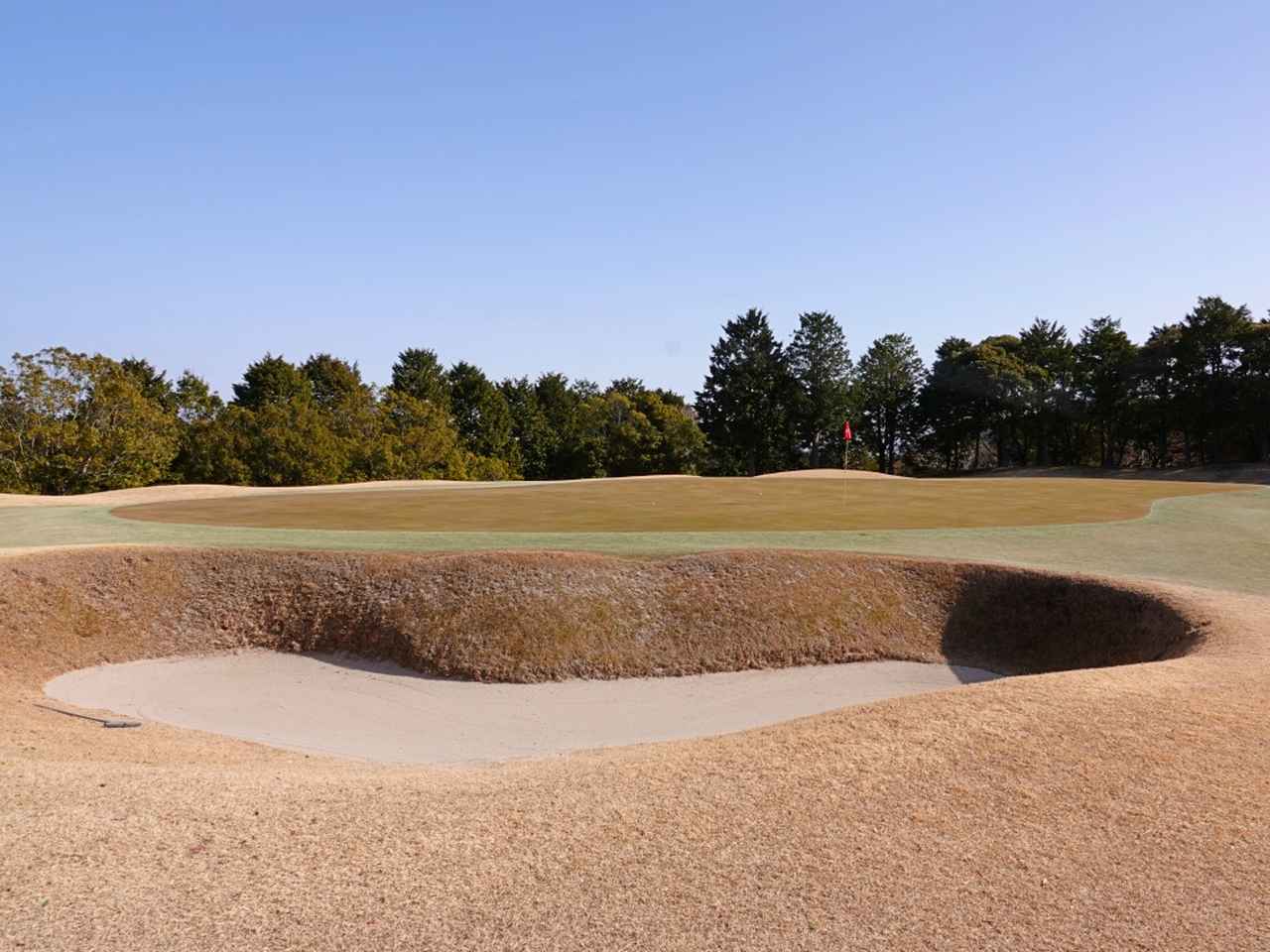 画像: 8番ホール（363ヤード・パー4）グリーン左サイドには深いアリソンバンカーが待ち受ける