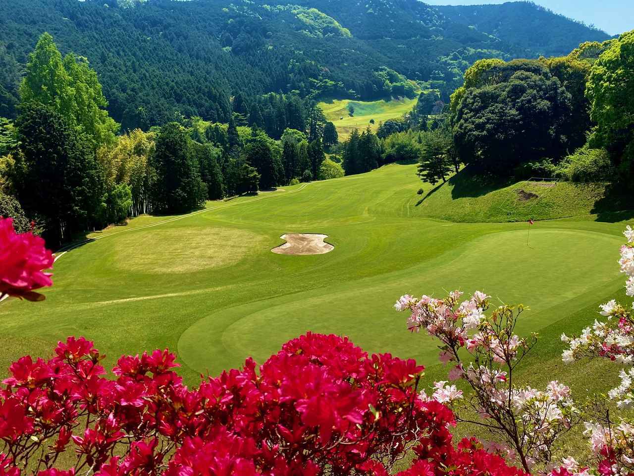 画像: 小田原湯本カントリークラブ:新規会員権が募集開始【入会特典あり】