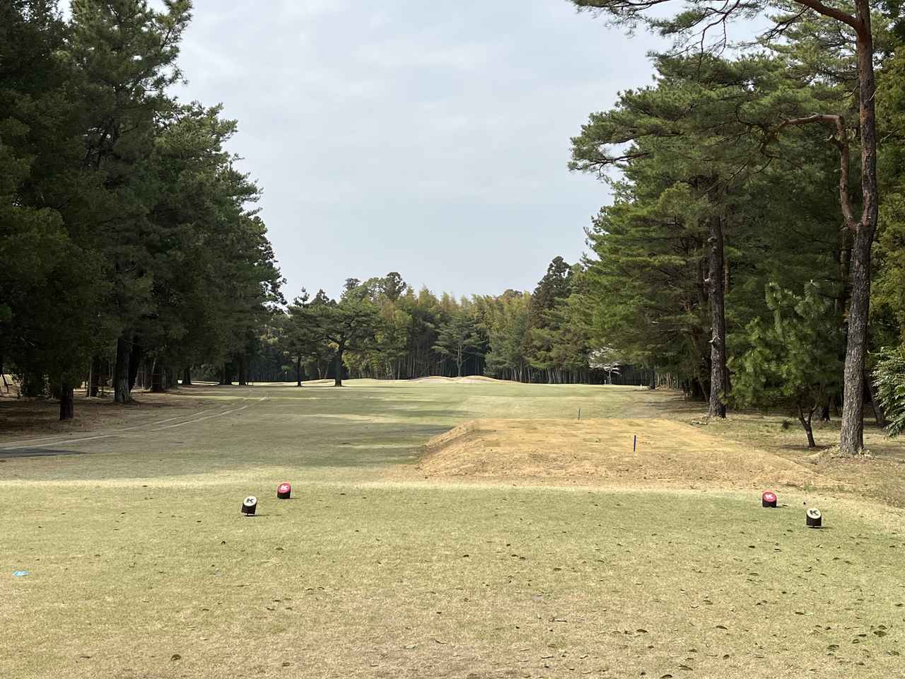 画像: ワンオンも可能?13番の短いPAR4(280Y BACK)