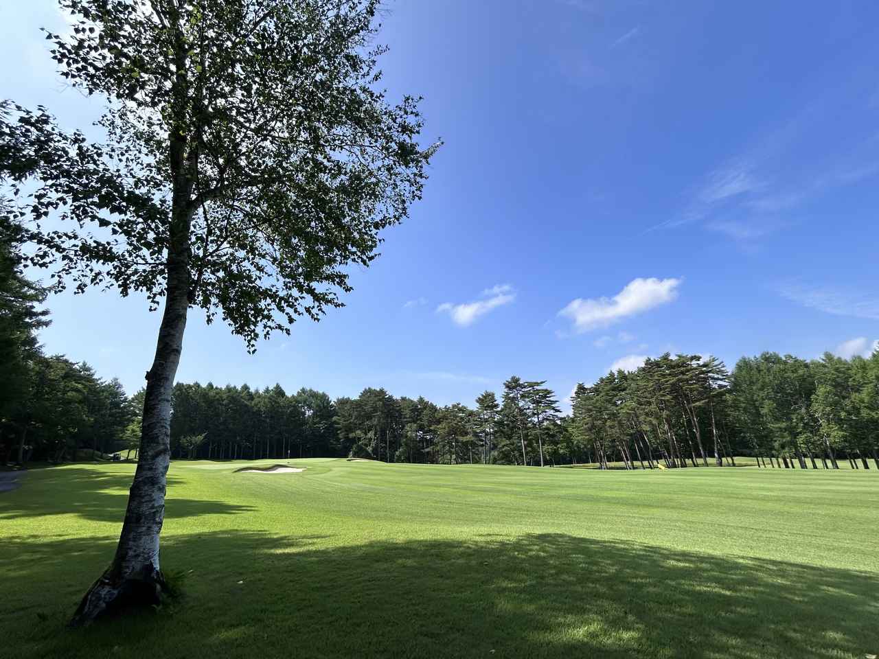 画像2: 長野デューンズゴルフクラブ