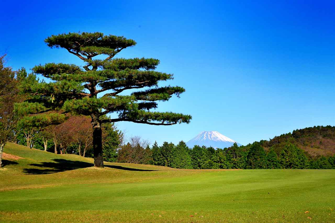 画像1: 伊豆大仁カントリークラブ