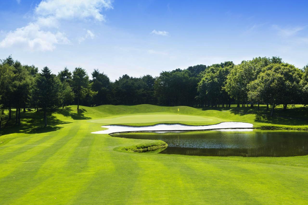 画像: エミナゴルフクラブ