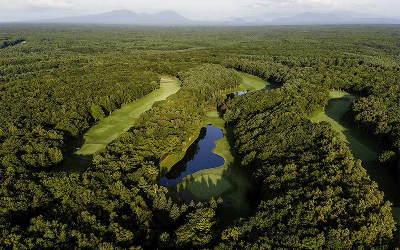 画像1: 人気13コースから2コースがお選びいただけます