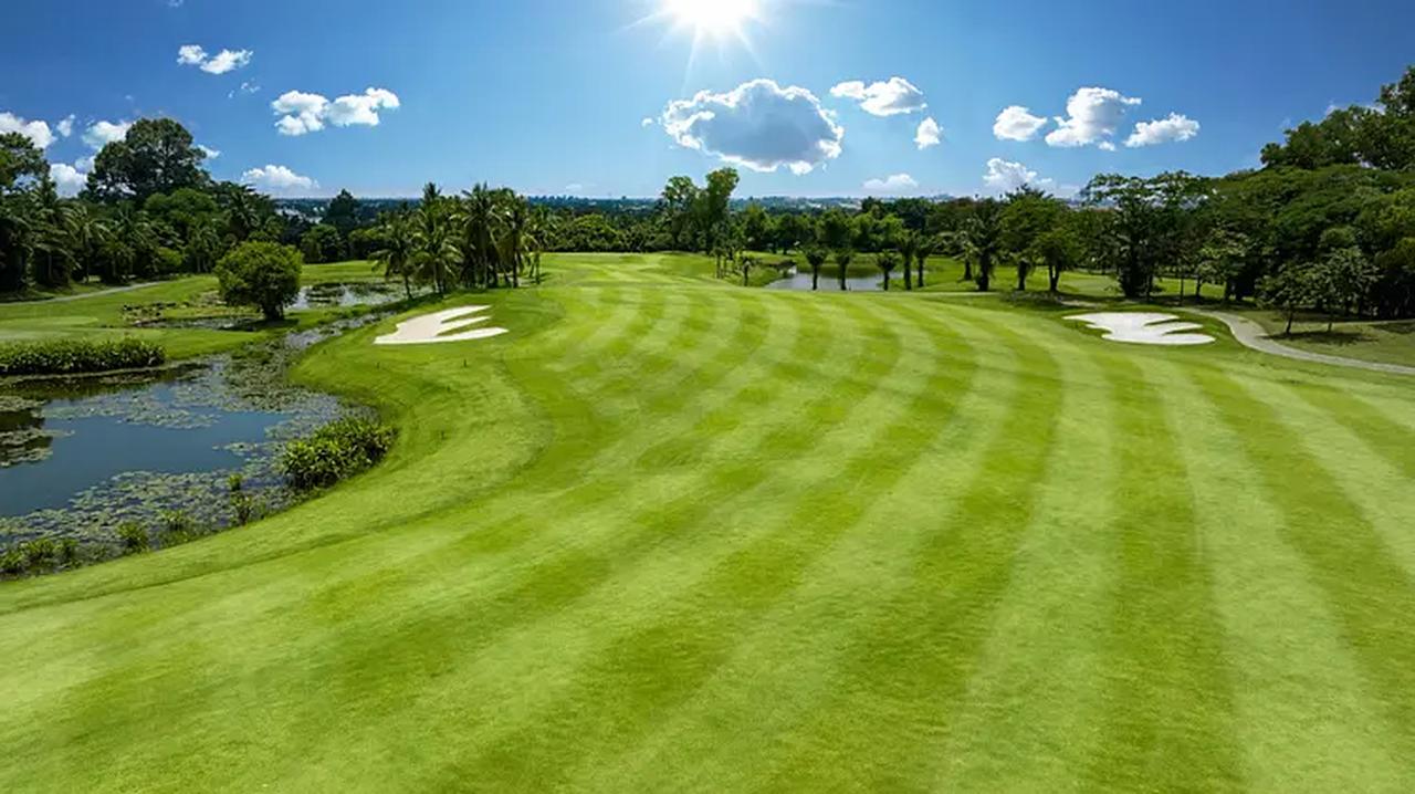 画像6: 年末年始【ベトナム6日間3プレー】ベストシーズンホーチミン6日間（添乗員同行／一人予約可能）