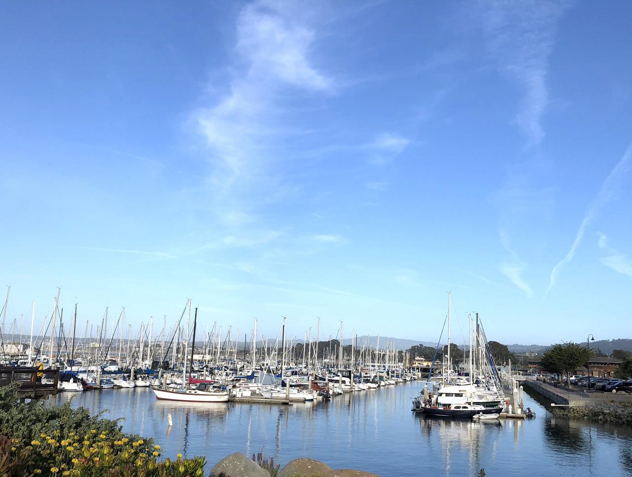 画像: マリーナを眺めながら食事を満喫。近くにはラッコやアシカが遊ぶ姿も！