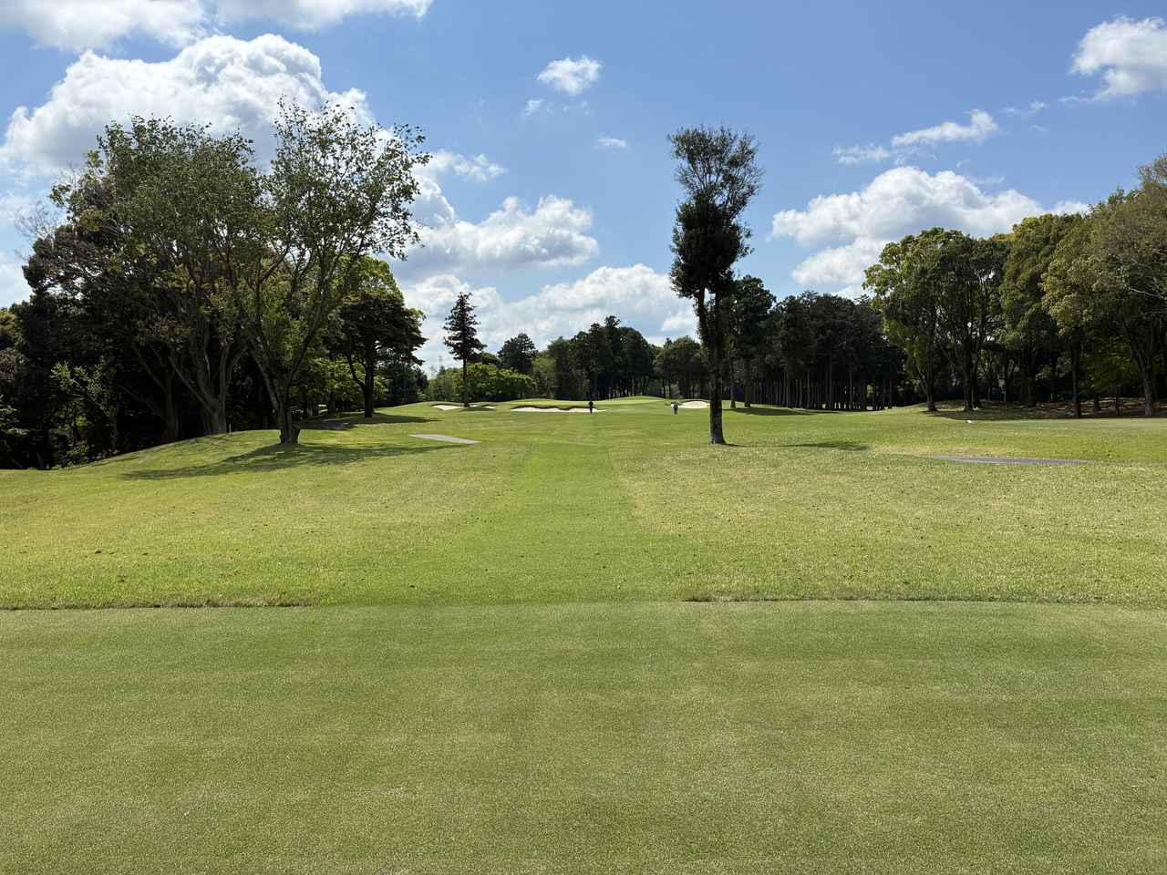 画像: 15番（173Y　PAR3）状況によってはトーナメントティーからプレー可能。