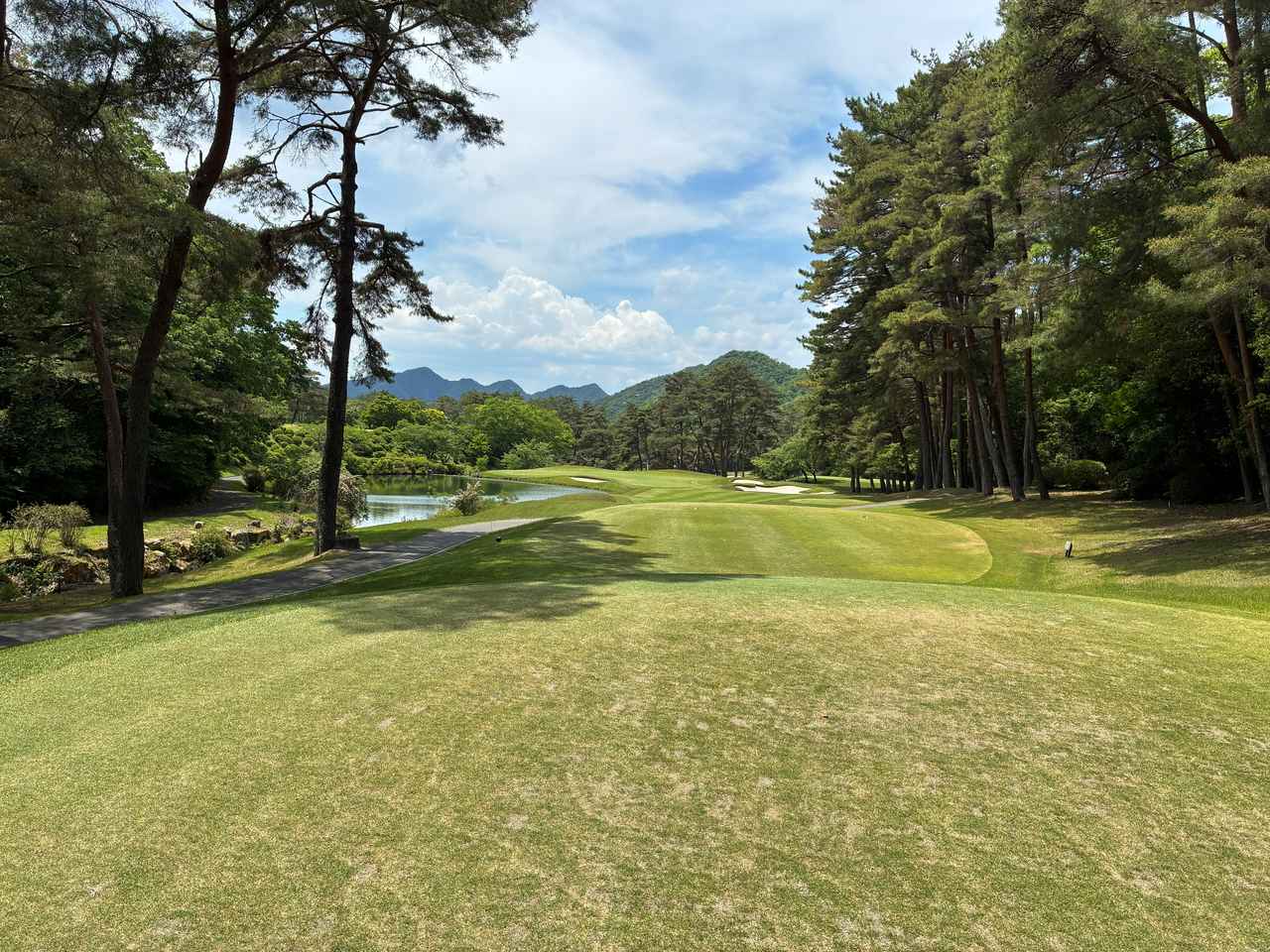 画像: 16番　PAR3　233Y（BACK）　バックからは距離も長く、プロでもパーオンは難しい？