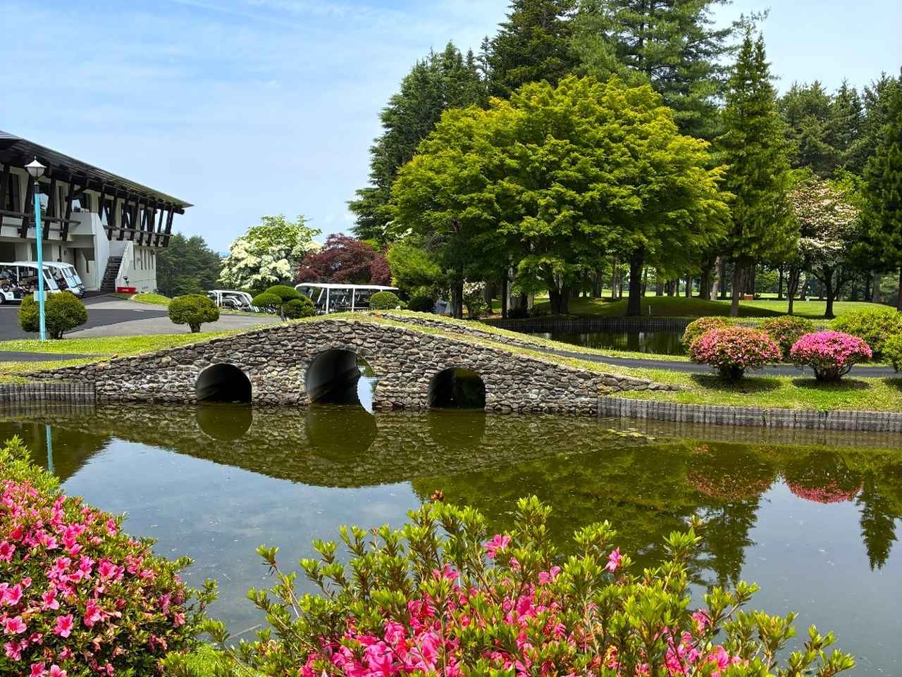 画像: 6月はつつじの花が咲き誇り、華やか！