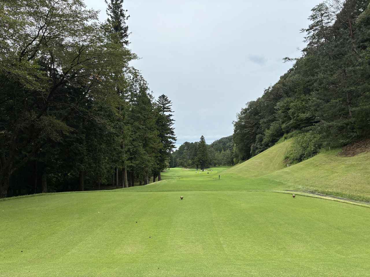 画像: OUT7番　PAR4　2グリーンが木でセパレートされており、使用グリーンによってコースが変わります。