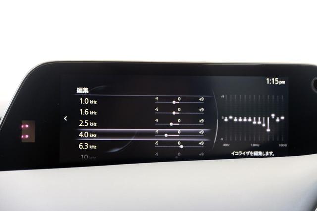 画像: 13バンドのグラフィックイコライザーを使って調整してみた結果がこちら。MAZDA3オーナーの方、ぜひこのセッティングを試してみていただきたい。