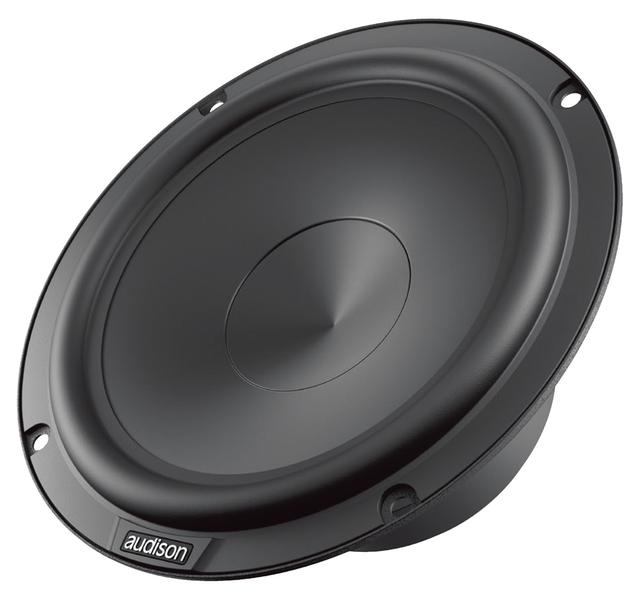 画像: 165mmウーファーユニットのAP 6.5P。