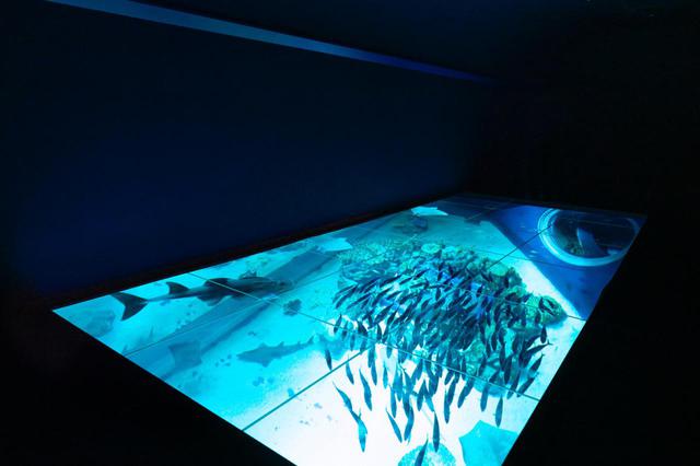 画像1: サウンドクリエイターのアイデアを米国QSC「Q-SYS」で具現化した、沖縄「DMMかりゆし水族館」【Prosound Report】