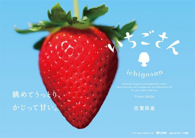 画像11: 佐賀ん酒3種飲み比べ × 佐賀の名産おつまみ × 新ブランド「いちごさん」