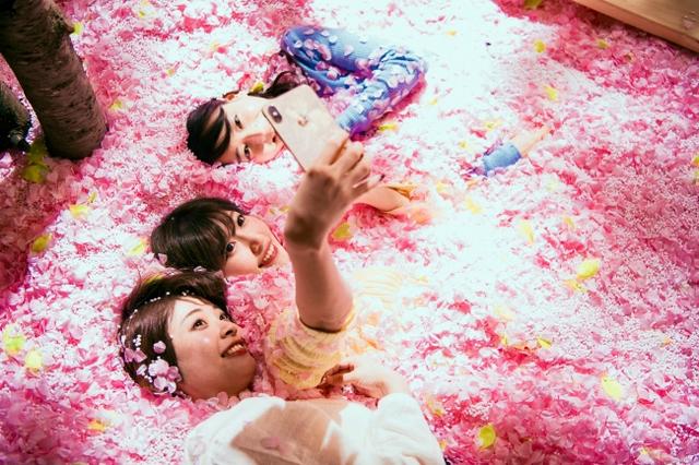 画像2: いよいよオープン!120万枚の桜の花びらに埋もれて「体験型インドア花見」と佐賀の名産が楽しめる「SAKURA CHILL BAR by 佐賀」