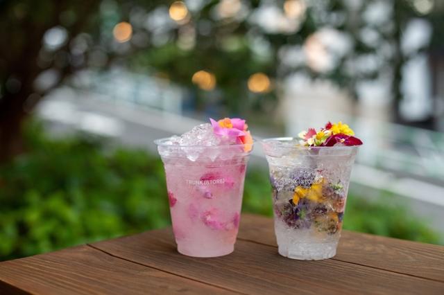 画像3: 【TRUNK(HOTEL)】南アルプスの天然氷を使用したかき氷や夏にぴったりの爽やかなドリンクが楽しめる夏のシーズナルメニューが登場!