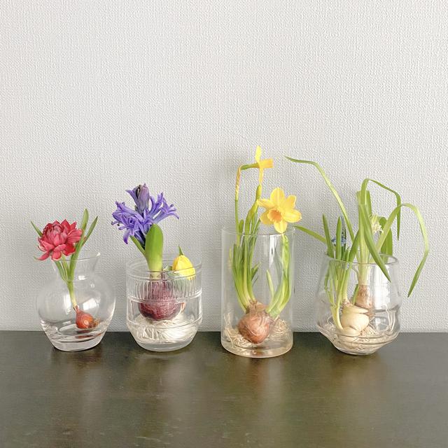 画像1: 季節のお花をオンラインで❤️