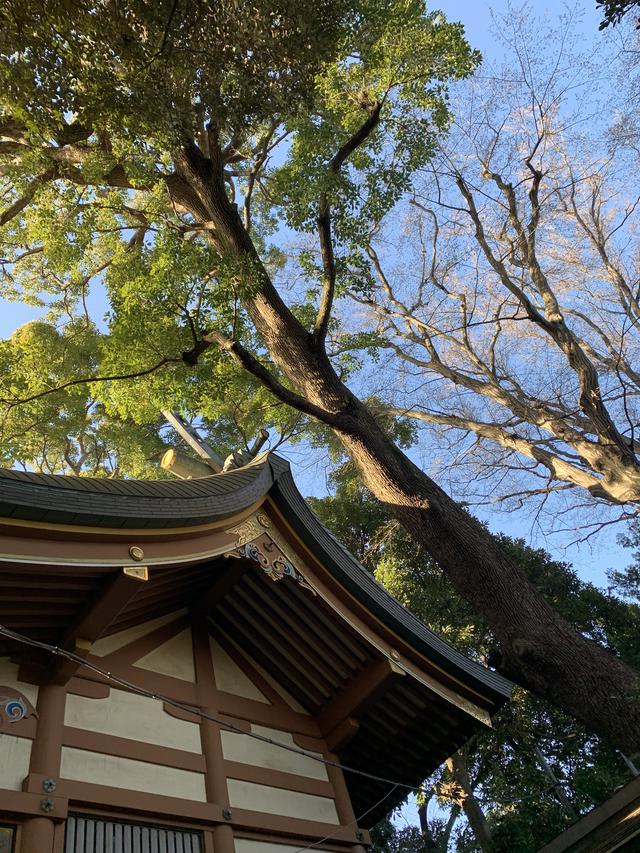 画像1: 【おすすめパワースポット!代々木八幡宮】