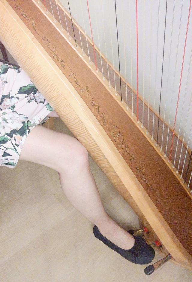 画像1: ハープのペダル