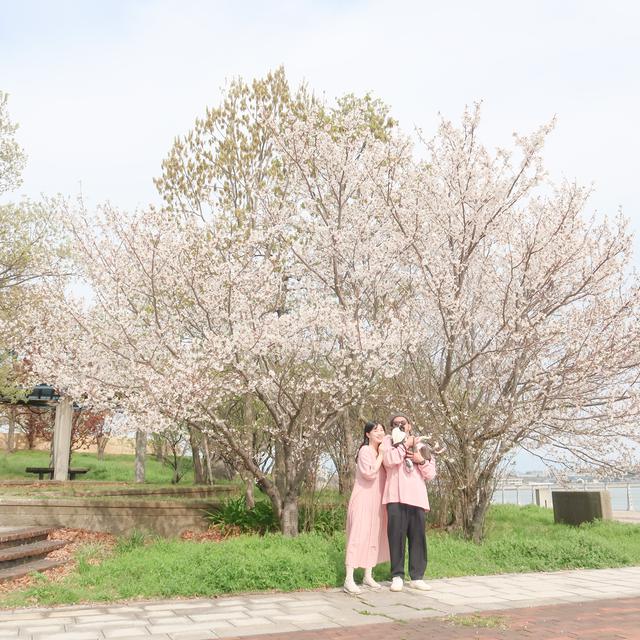 画像1: お花見コーデにぴったりの人気ブランド❤️