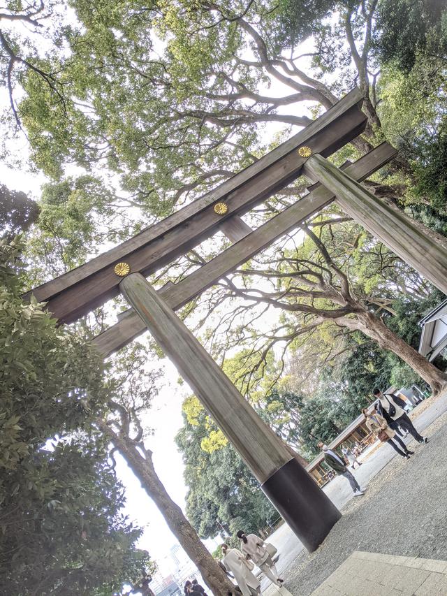 画像1: 清々しい気分に♪ 明治神宮