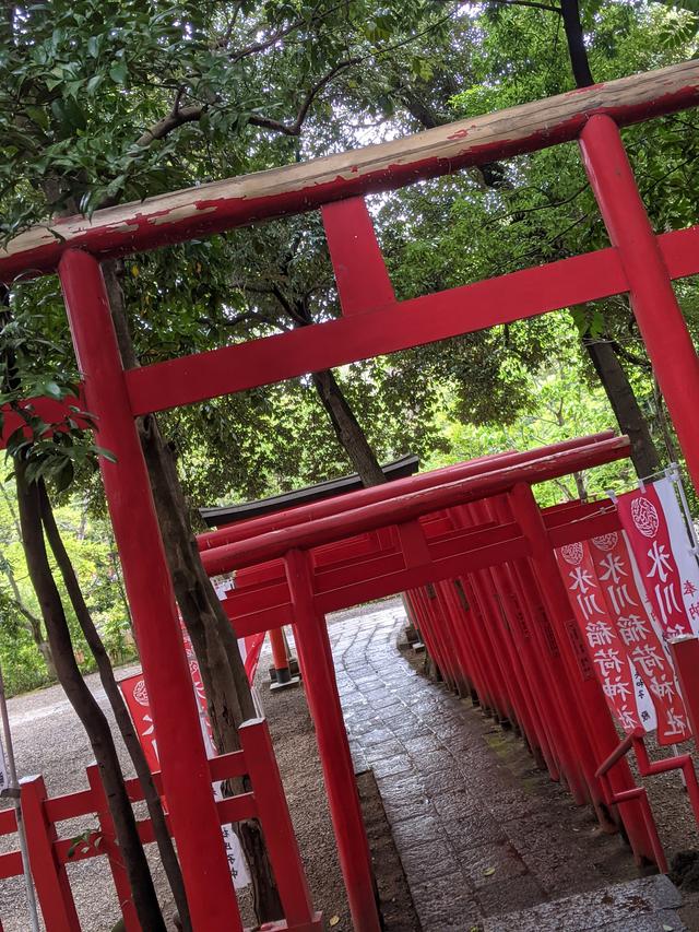 画像5: 大宮 氷川神社
