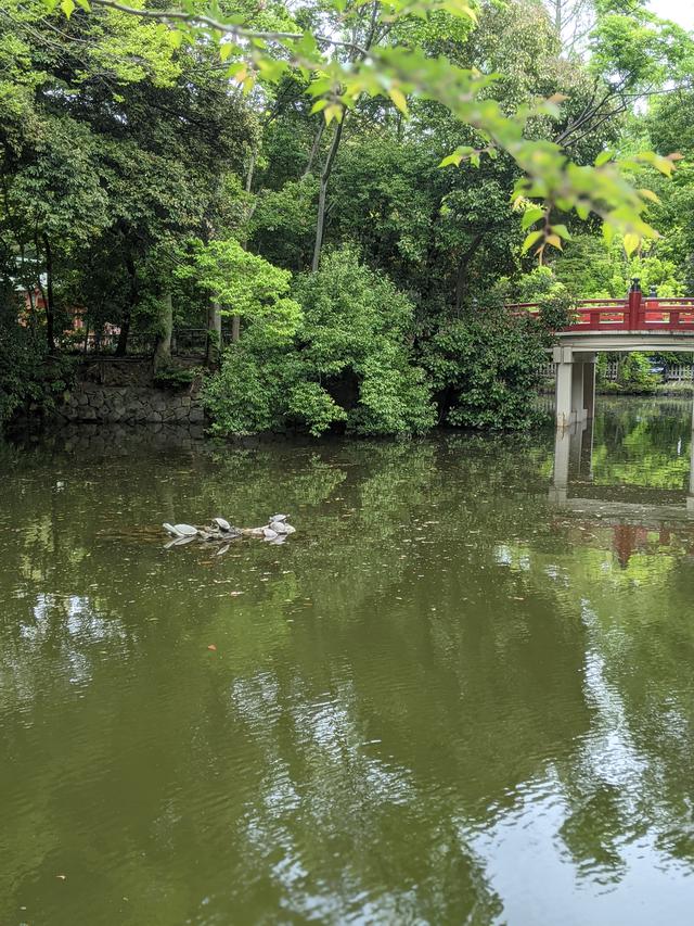 画像3: 大宮 氷川神社