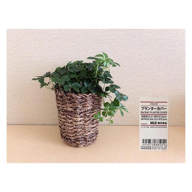 画像5: 出典:Instagram