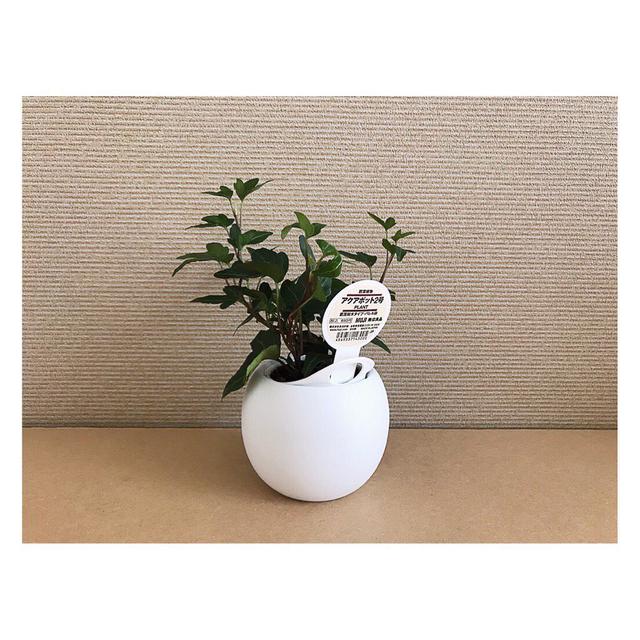 画像4: 出典:Instagram