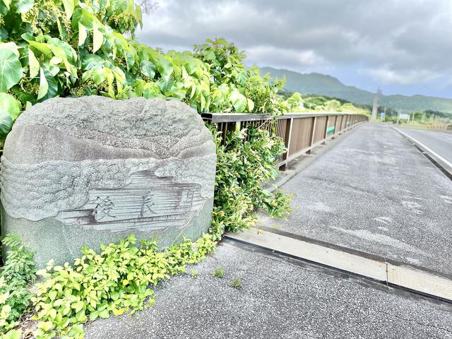 画像: マングローブ林が一望出来る絶景スポットは?