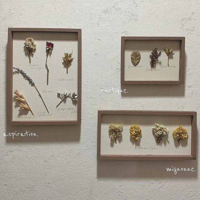 画像3: 出典:Instagram