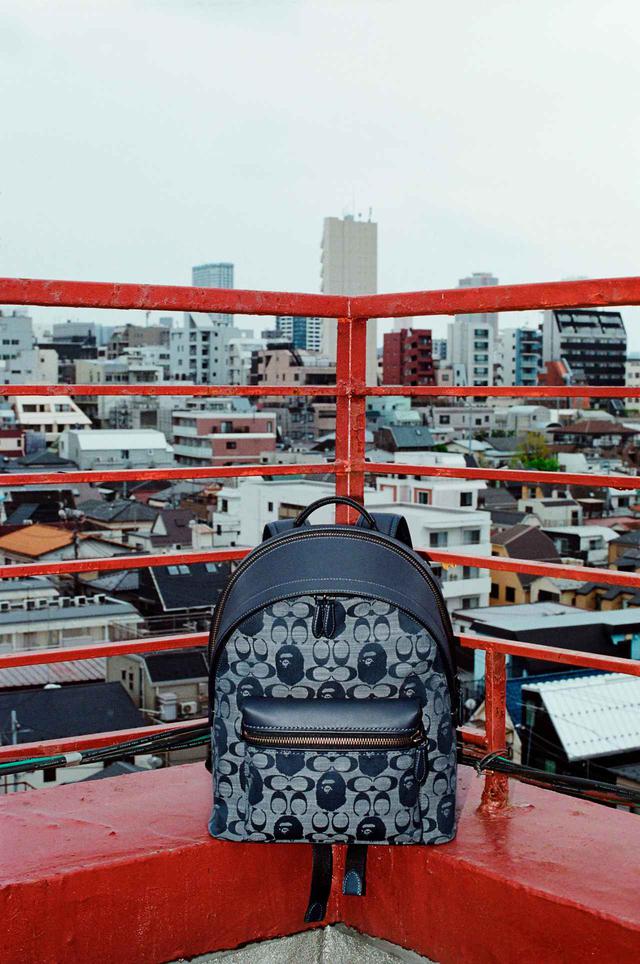 画像: 出典:ftn 出典:ftn