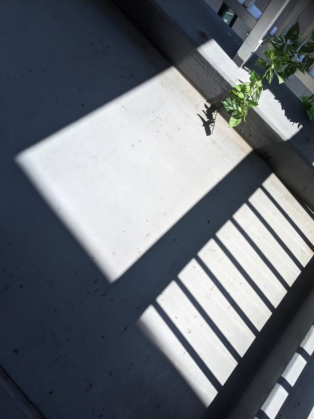 画像1: www.instagram.com