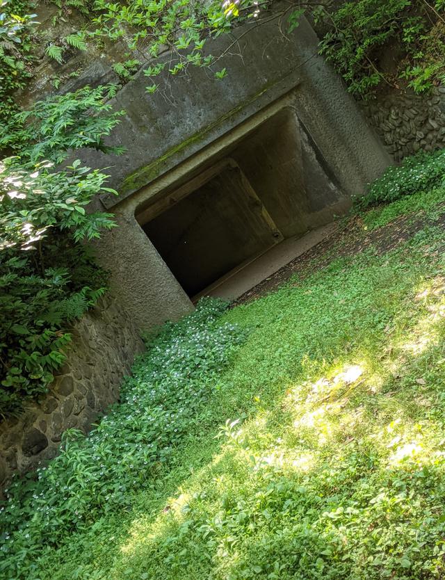 画像2: www.instagram.com