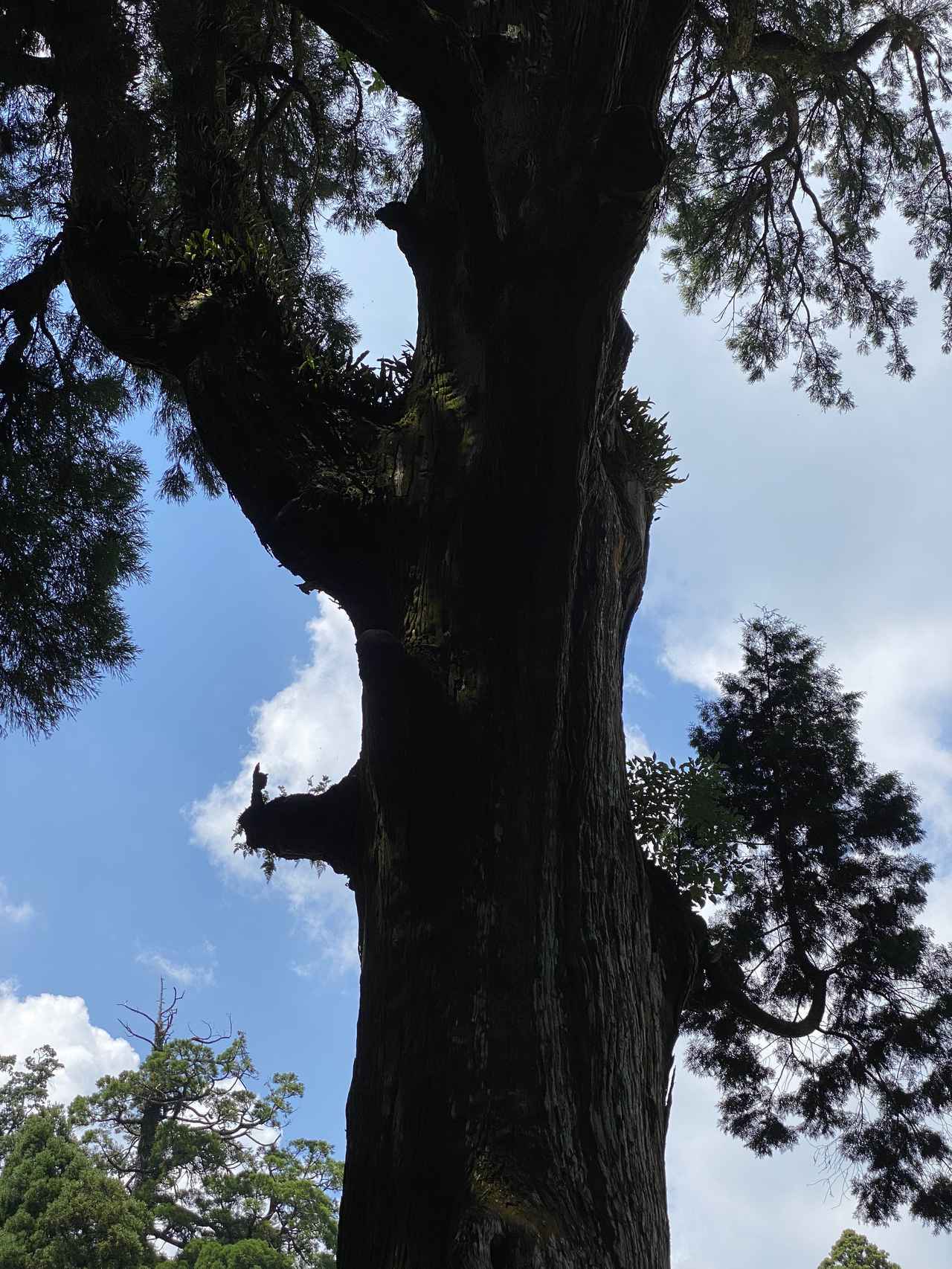 もう知ってたらゴメン 神話の里 鹿児島 霧島おすすめ最強パワースポット Ftn